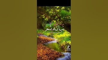 القارئ محمد الفقيه