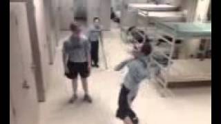 bri lynn's harlem shake army version