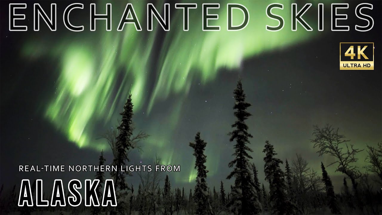 Enchanted Skies - Northern Lights from Alaska // Filmed in real-time 4K UHD