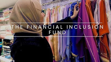 The Financial Inclusion Fund