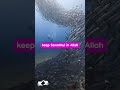 Because the believers know… Allah never disappoints sincere #اكسبلور #duet #islam #quran #allah#fyp
