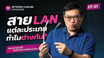 9D ร่วมกับ อ.ศุภเดช EP.1 : เจาะลึกมาตรฐานสาย LAN! 🌐 แต่ละแบบต่างกันยังไง? 🤔