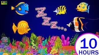 Best Bedtime Songs 😴Lullabies for Babies and Toddlers  Baby Ocean Dreams