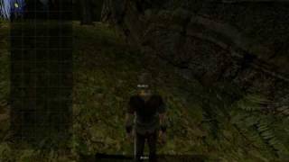 Gothic 2 - beginning, mouse and WSAD controls