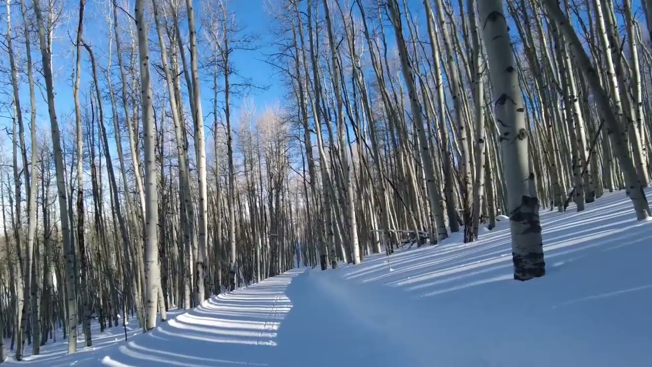 Beaver Creek Snowshoe Short