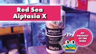 Product of the week. All you need to know about Red Sea Aiptasia X