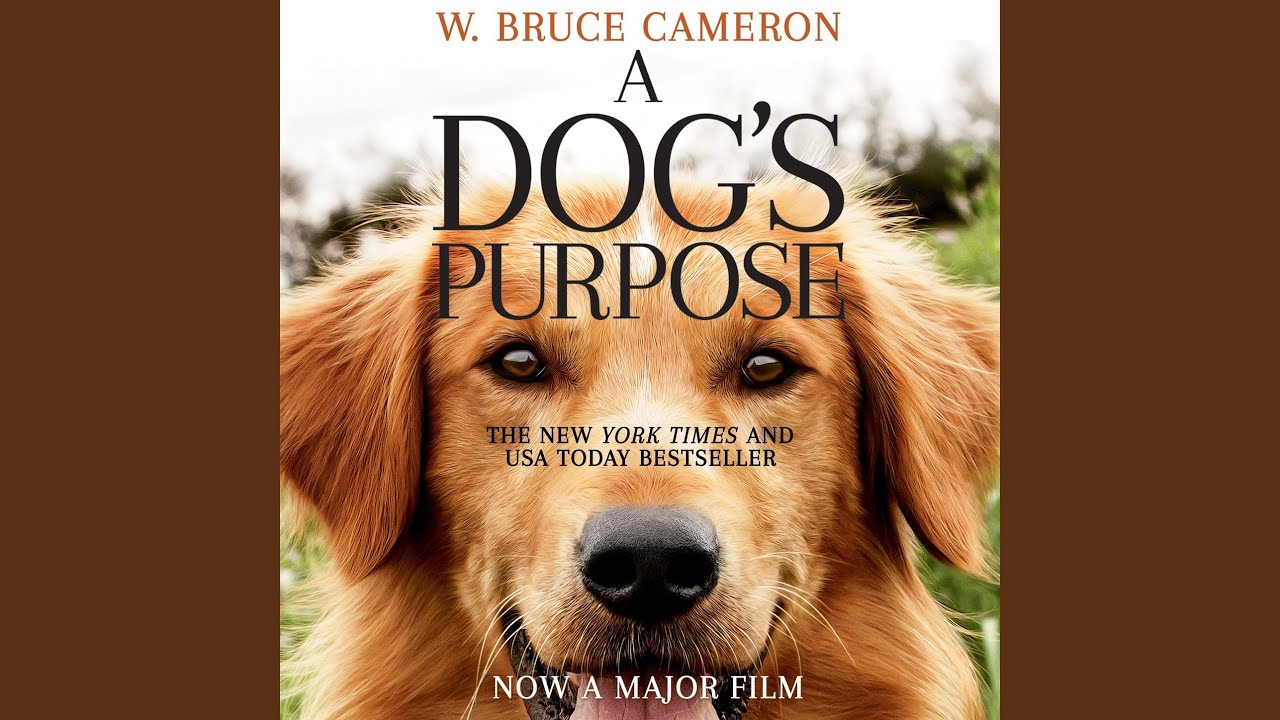 Chapter 124 - A Dog's Purpose - A Dog's Purpose, Book 1 - YouTube
