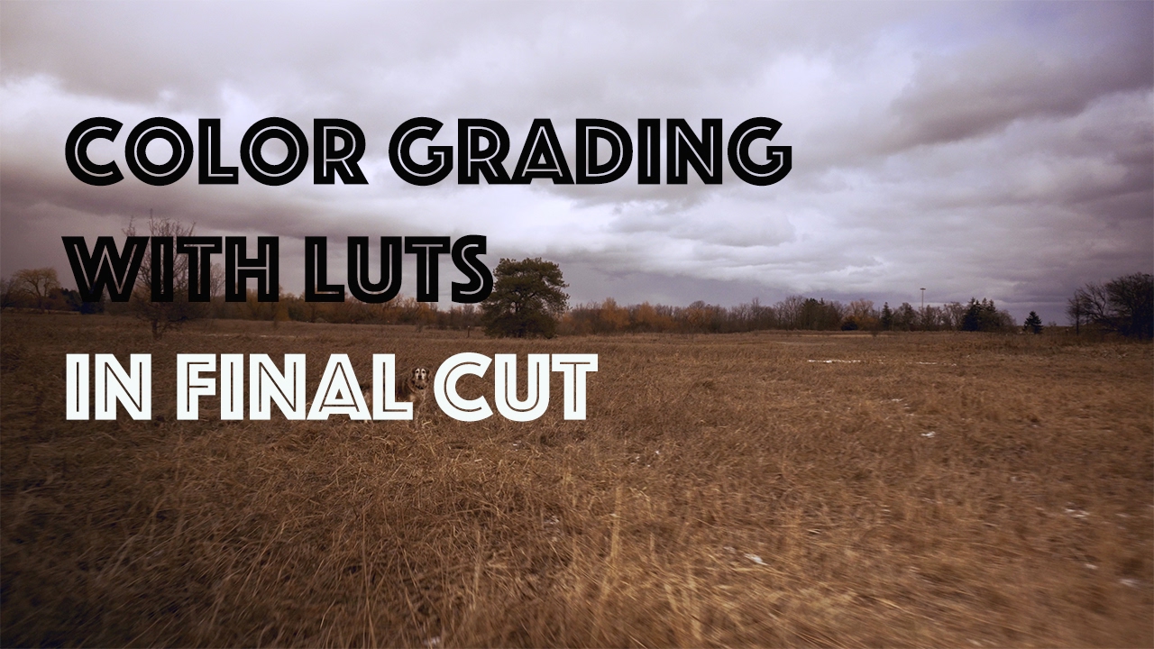 COLOR GRADING WITH LUTS FINAL CUT PRO YouTube