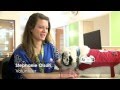 Stephanie's story: Volunteering & therapy dogs at Children's Hospital of Wisconsin Stephanie's story: Volunteering & therapy dogs at Children's Hospital of Wisconsin
