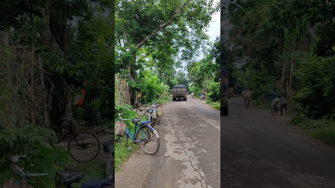 Morning Breakfast in the Greens 