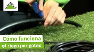 Cómo funciona el riego por goteo | LEROY MERLIN