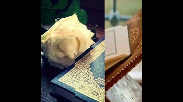 سورة المسد بصوت القارئ صلاح سيدو