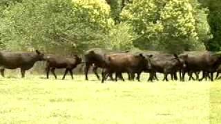 USDA Assists Mother, Daughter Farm Team