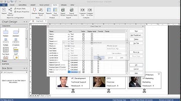 OrgChart® Professional and Platinum