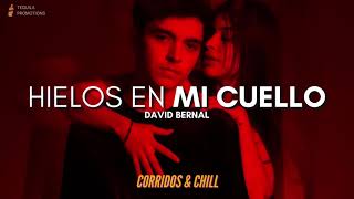 David Bernal - Hielos En Mi Cuello | Corridos 2021 🔥