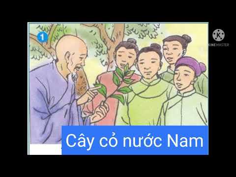 Video Cây cỏ nước Nam - Kể chuyện lớp 5 tuần 7 - youtube