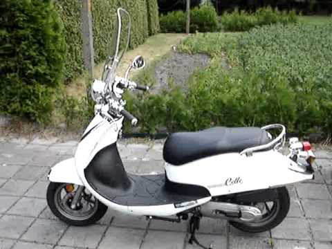 Sym Cello 4t scooter wit met scherm cat and dog??? - YouTube