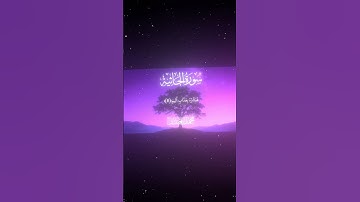 سورة الجاثية|7-9|القارئ:#محمد_اللحيدان #قران #quran #راحة_نفسية #قران_كريم #تلاوة_هادئة #تلاوة_خاشعة