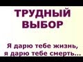 ТРУДНЫЙ ВЫБОР. ЖИЗНЬ И СМЕРТЬ. ВЗРОСЛЫЙ И РЕБЁНОК ВНУТРИ. Экспедиция, тренинги 201