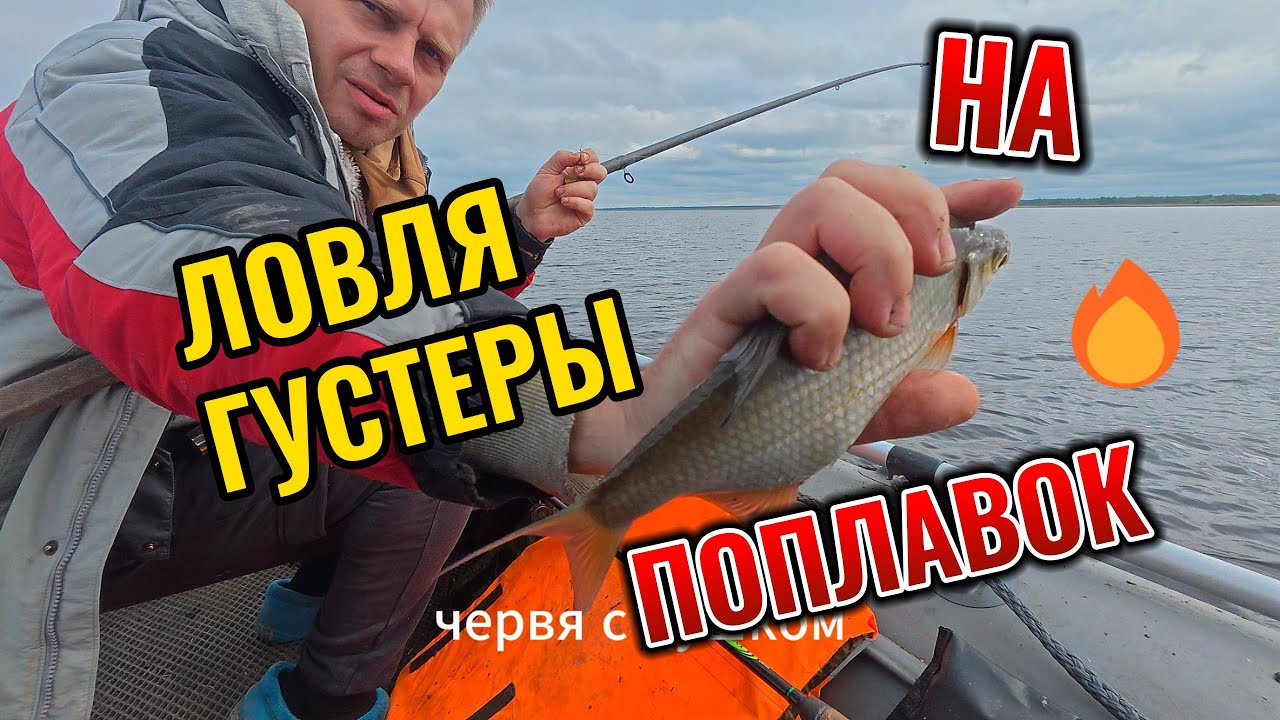 ШОК! Густера клюёт на ЭТО – забудьте про классические наживки