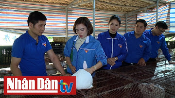 Thúc đẩy khởi nghiệp trong thanh niên dân tộc thiểu số