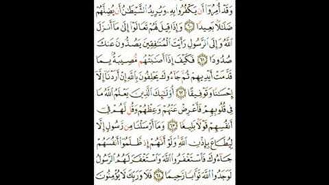 ♥♡{{ سورة النساء من اية 60 الى اية 65 }}♥♡