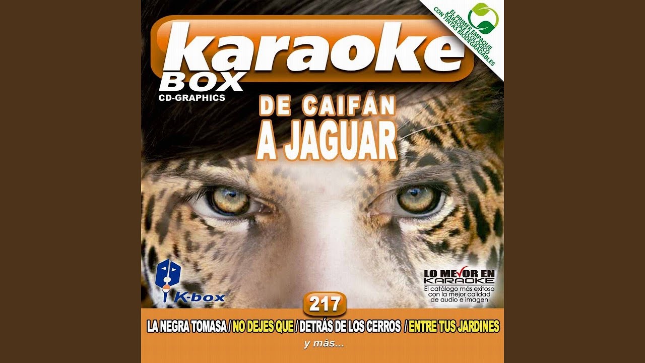 Dime Jaguar (Karaoke Version) YouTube