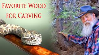 Finding the Best Wood for a Rattlesnake Walking Stick