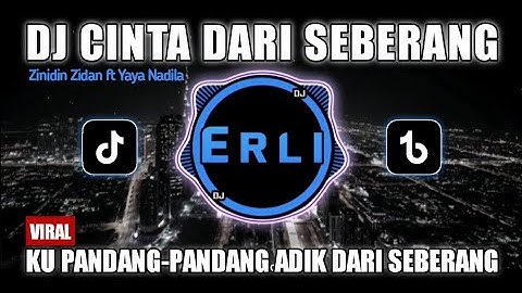 DJ Cinta Dari Seberang Zinidin Zidan ft Yaya Nadila Remix Viral Tiktok Terbaru 2025