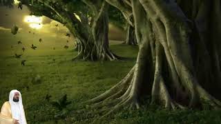 عبد الودود مقبول حنيف سورة التوبة كاملة