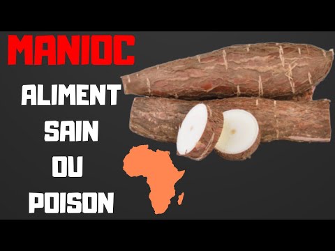 Vidéo: Le manioc est-il bon pour vous ?