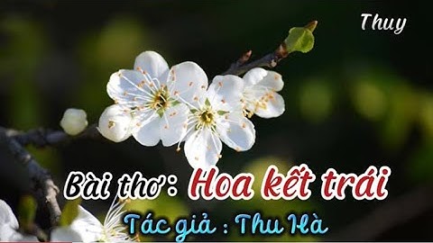 Bài hát hoa kết trái của tác giả nào năm 2024