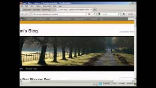 WORDPRESS HELP | How To Customize Your Worpress Theme Menu