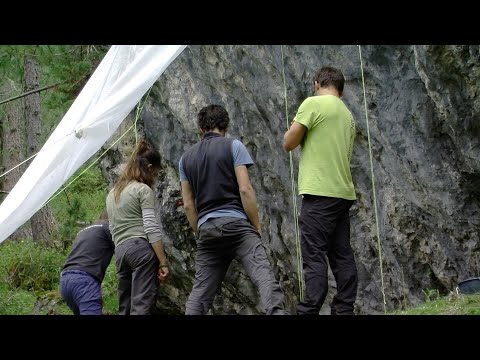 SCAVI ARCHEOLOGICI A PASSO GIAU, estate 2020