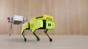 Mini Pupper is looking for you