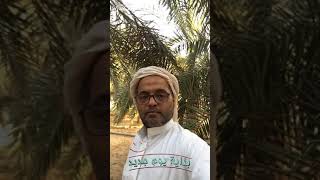 مقتطفات من رحلاتي 2 الأبوا Rabigh