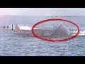 5 MEGALADON REAIS SUPOSTAMENTE CAPTURADOS POR CÂMERA