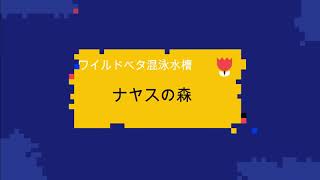 ワイルドベタの混泳水槽の紹介 繁殖のコツ 九州アクア日和 ワイルドベタの混泳水槽の紹介 繁殖のコツ 九州アクア日和