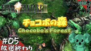 【FINAL FANTASY Ⅸ】ジタンきゅんのケツを永遠追いかけたいそんな熱いパッションだけでイく！：05【ファイナルファンタジー9】