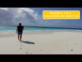 Flitterwochen Malediven|Angaga Island Resort & Spa|Tag 2|Schnorcheln mit einem Hai|