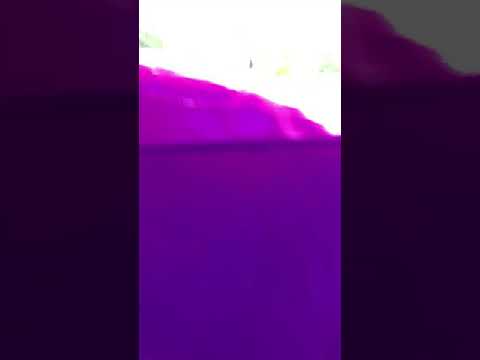 camera iphone 8 plus apk Princess kids assault course
