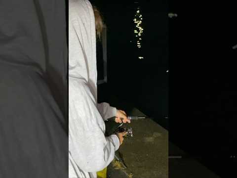 ウナギ釣りは誰でも釣れる?#shorts