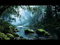 Deep Forest Water Sounds for Relaxation and Study | Peaceful River Ambience