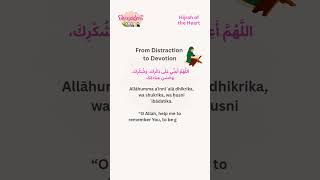 From distraction to devotion