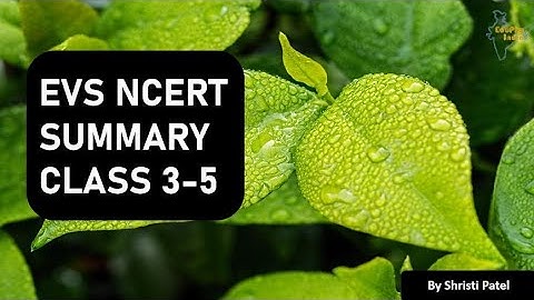 L-1 | EVS | NCERT SUMMARY | CLASS 3 - 5 | CTET | OTHER TEACHING EXAMS | BY SHRISTI PATEL