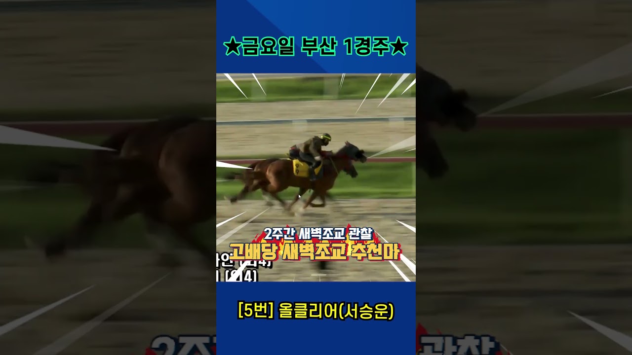 9월11일 금요일 부산 1경주!! 2주간 훈련보인 강백호의 새벽조교 쏘스마!!