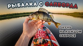 Рыбалка с Сапборда / Окунь на каждом забросе / Сапборд с Aliexpress / Team Dubna Backwater