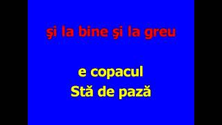 Copacul Karaoke -Aurelian Andreescu