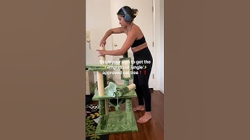 This cat tree is for the aesthetic girliesssss