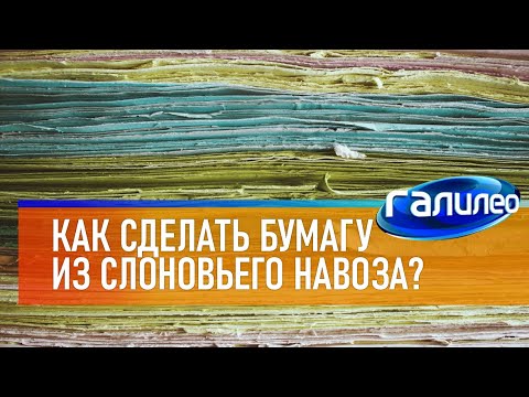 Галилео 🐘💩 Как